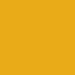 Bee Yellow