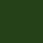 Dark Forest Green