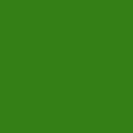 Medium Spring Green