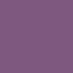 Viola Purple