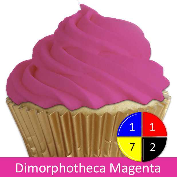 Dimorphotheca Magenta